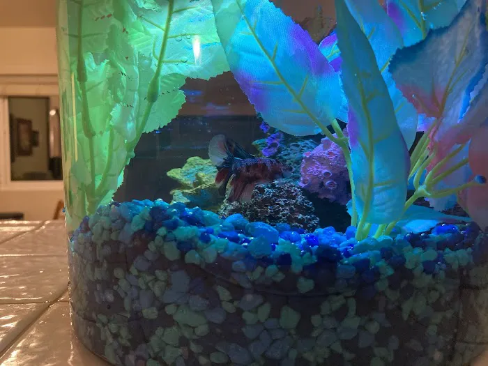 Petco Picture 1