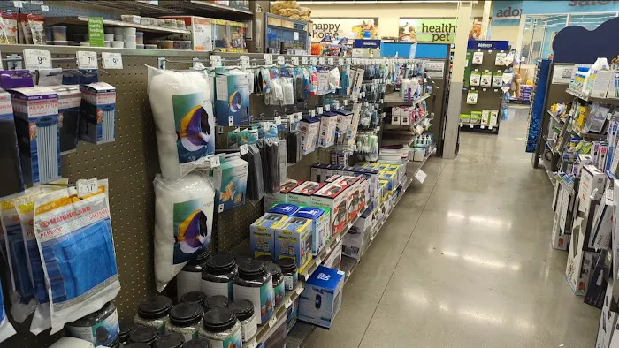 Petco Picture 5