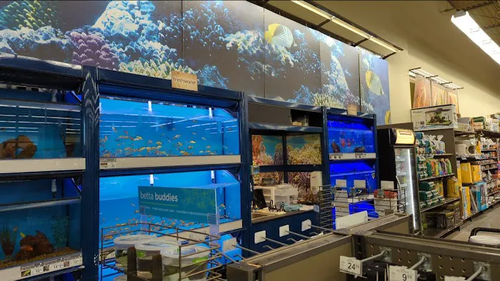 Petco Picture 10