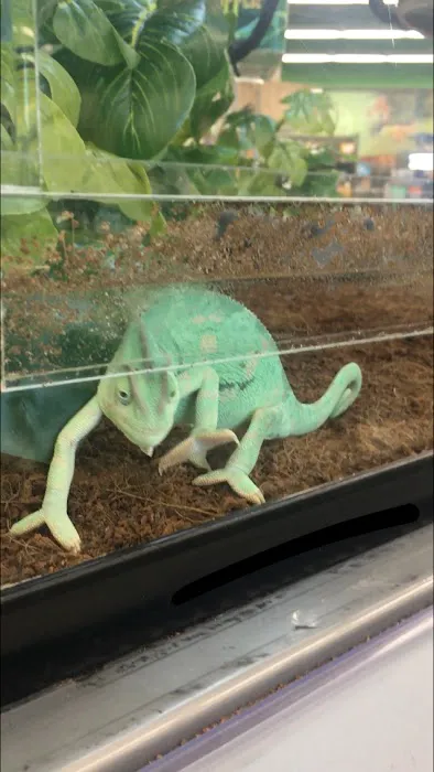 Petco Picture 9