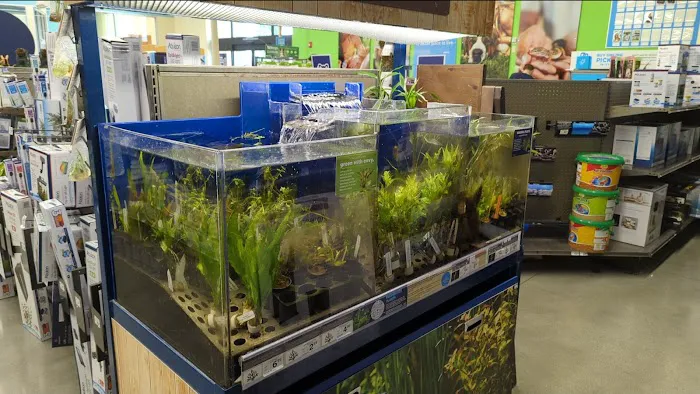 Petco Picture 7
