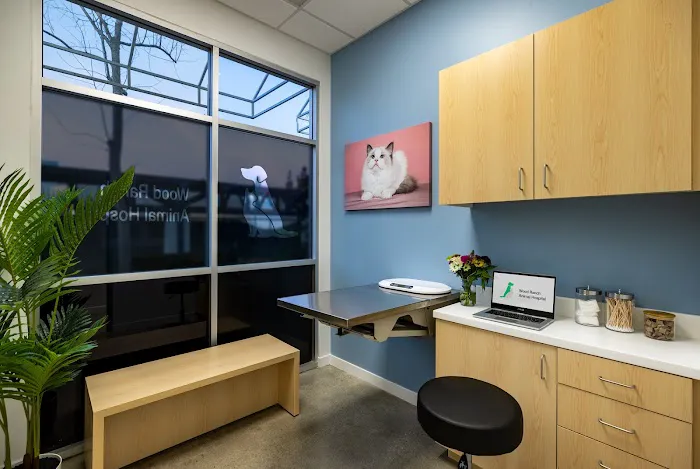 Wood Ranch Animal Hospital Picture 4
