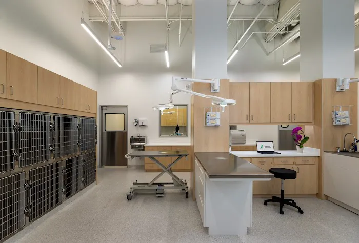 Wood Ranch Animal Hospital Picture 5