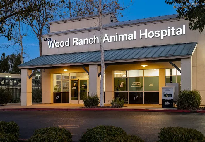 Wood Ranch Animal Hospital Picture 6