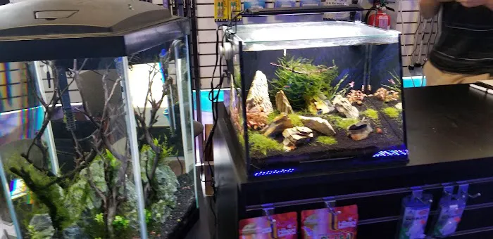 Shipwreck Cove Tropical Fish and Custom Aquariums Picture 2