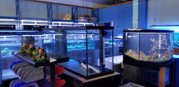 Shipwreck Cove Tropical Fish and Custom Aquariums Picture 1