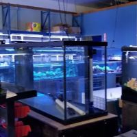 Shipwreck Cove Tropical Fish and Custom Aquariums ico