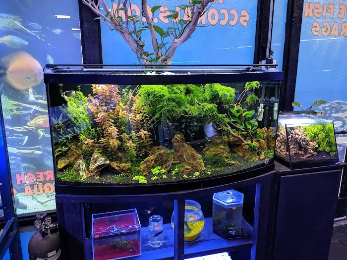 Shipwreck Cove Tropical Fish and Custom Aquariums Picture 8