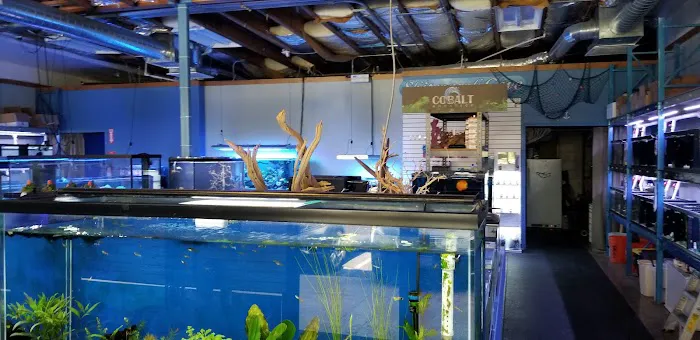 Shipwreck Cove Tropical Fish and Custom Aquariums Picture 6
