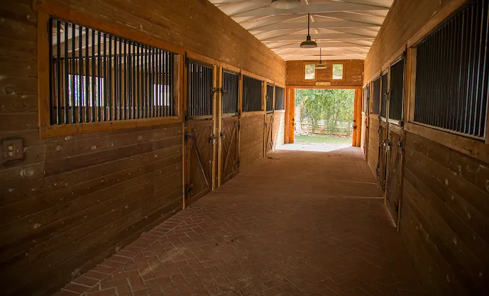 Bradley D Perdue Equine Picture 9