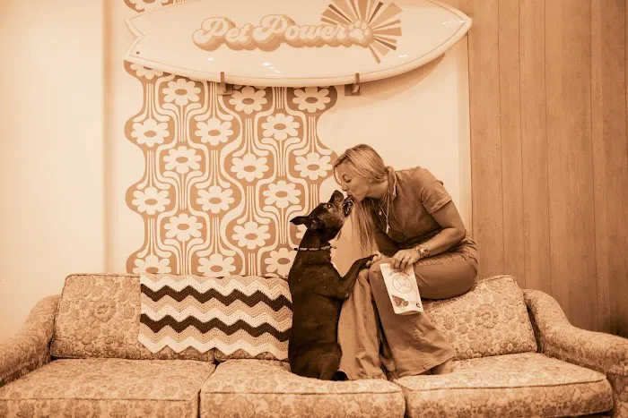 Pet Power Studio Picture 7