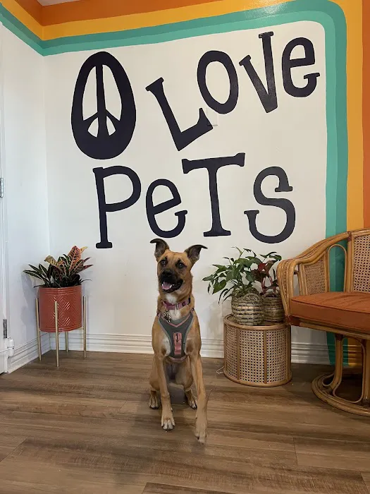 Pet Power Studio Picture 8