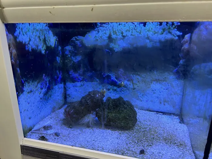 Petco Headquarters Picture 4
