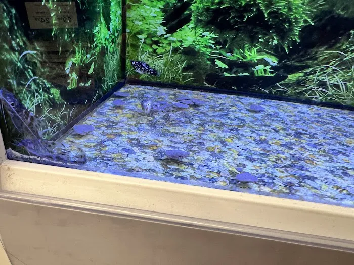 Petco Headquarters Picture 5