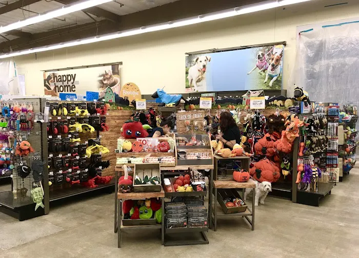 Petco Picture 6