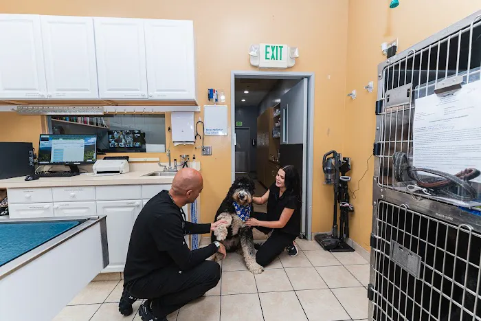 Townsgate Pet Hospital Picture 5