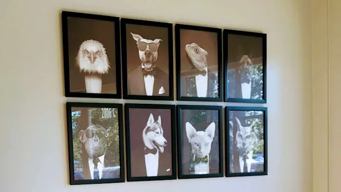 Townsgate Pet Hospital Picture 1