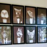 Townsgate Pet Hospital