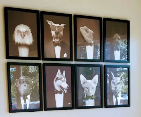 Townsgate Pet Hospital