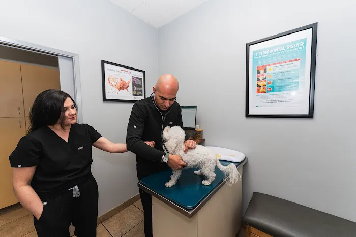 Townsgate Pet Hospital Picture 3