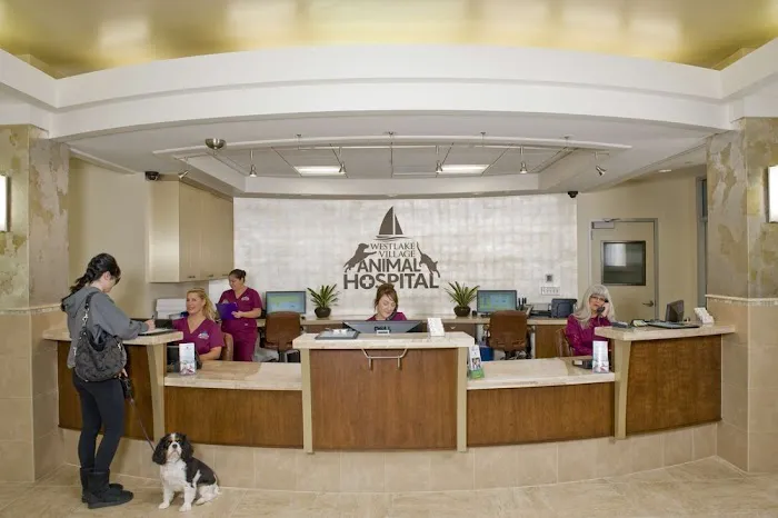 VCA Westlake Village Animal Hospital Picture 2