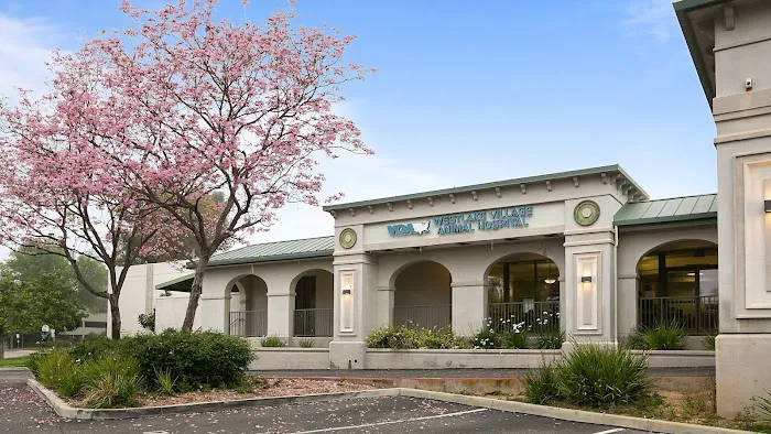 VCA Westlake Village Animal Hospital Picture 5