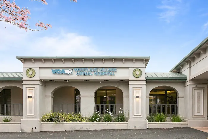 VCA Westlake Village Animal Hospital Picture 8
