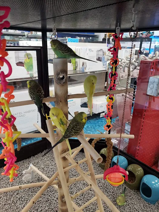 Petco Picture 2