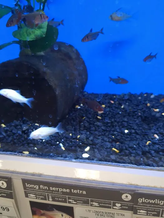 Petco Picture 7