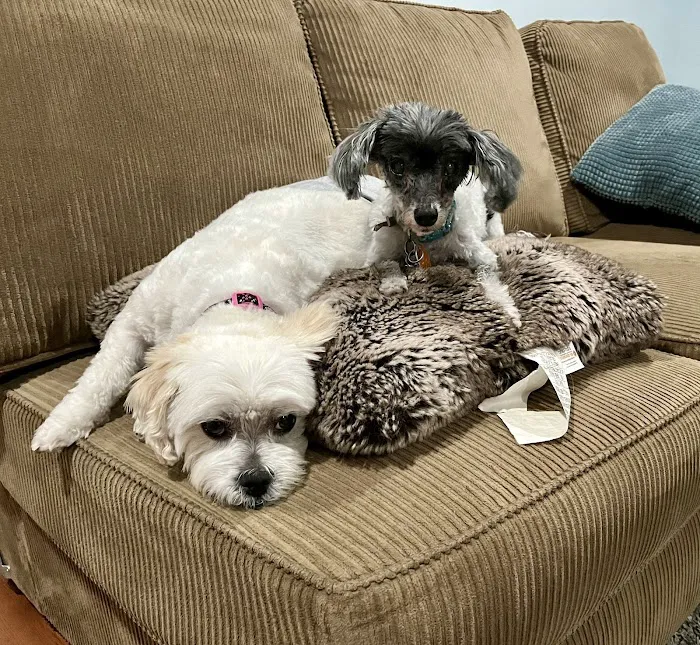 Banfield Pet Hospital Picture 3