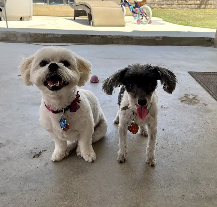 Banfield Pet Hospital Picture 7