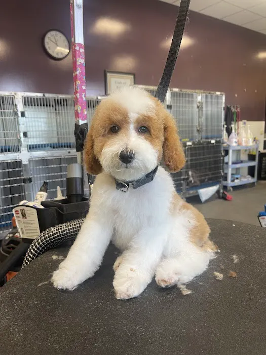 Banfield Pet Hospital Picture 4