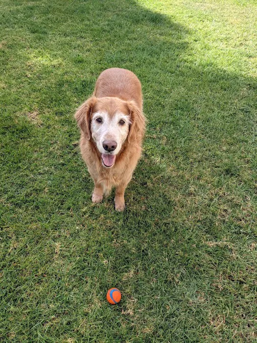 Mission Oaks Veterinary Clinic Picture 1