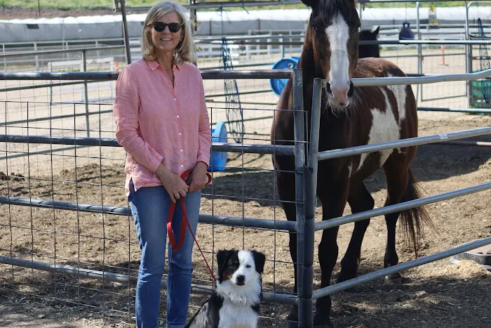 Mission Oaks Veterinary Clinic Picture 2