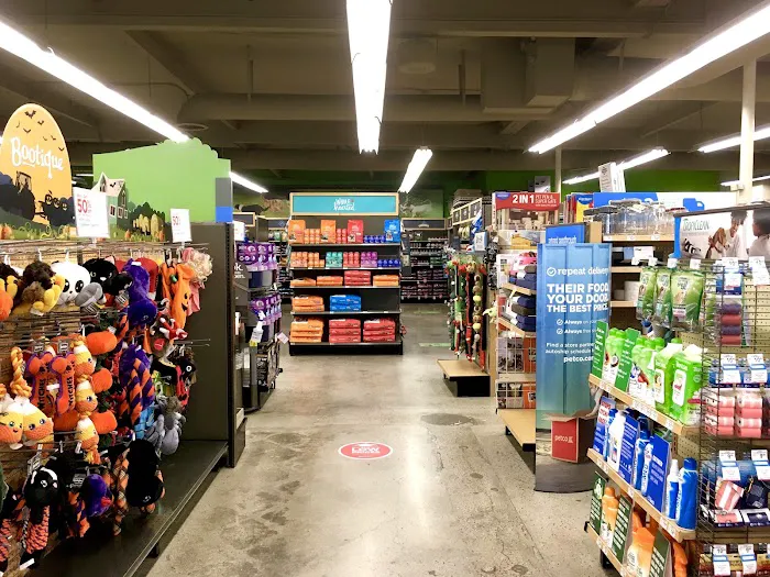 Petco Picture 2