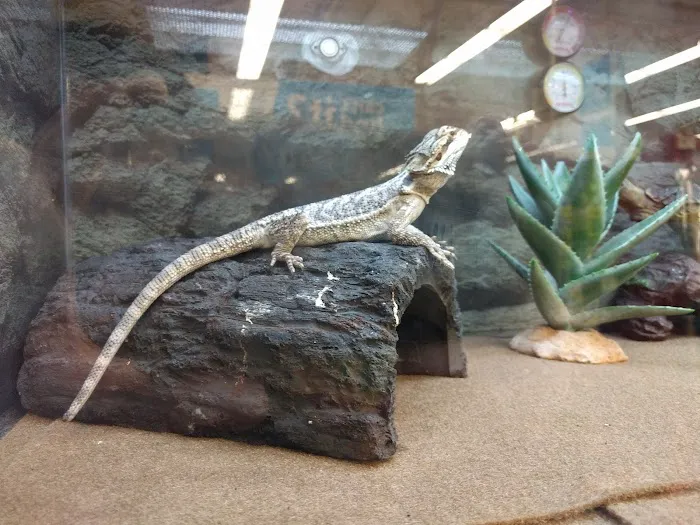 Petco Picture 2