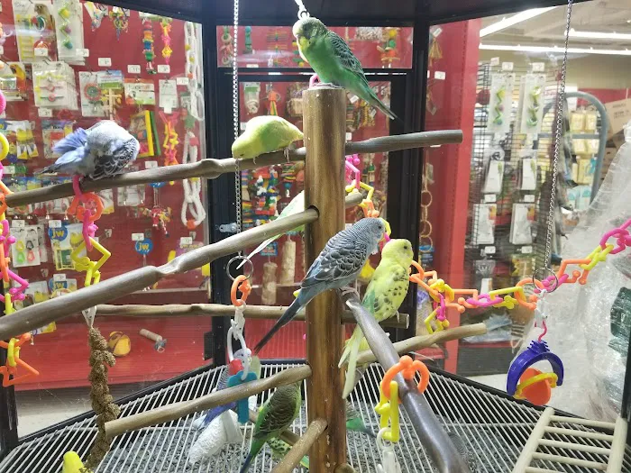 Petco Picture 1
