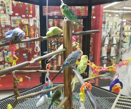 Petco