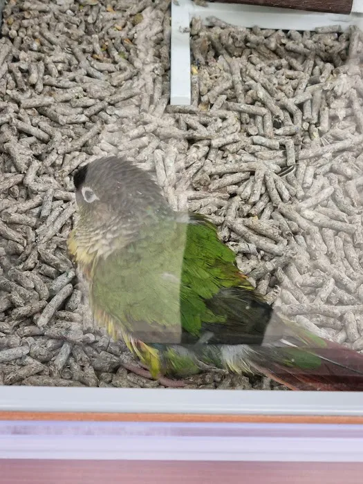 Petco Picture 8