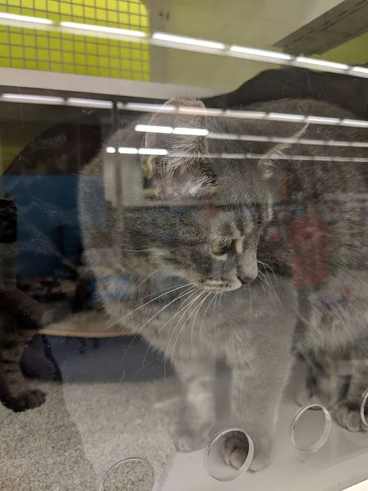 Petco Picture 7