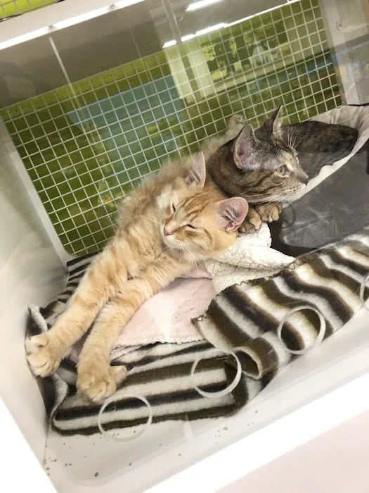 Petco Picture 10