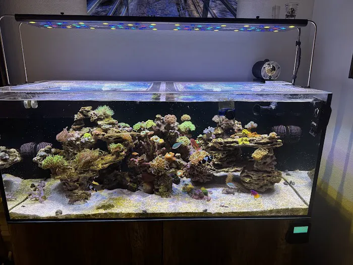 Aqua SD Picture 6