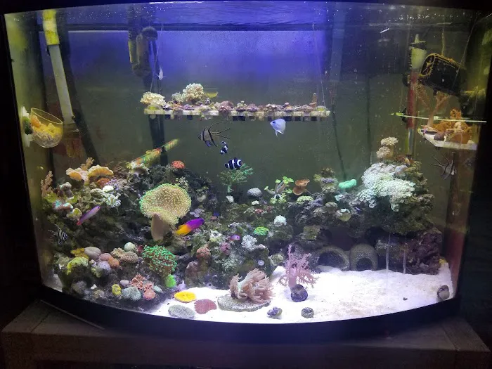 Aqua SD Picture 3