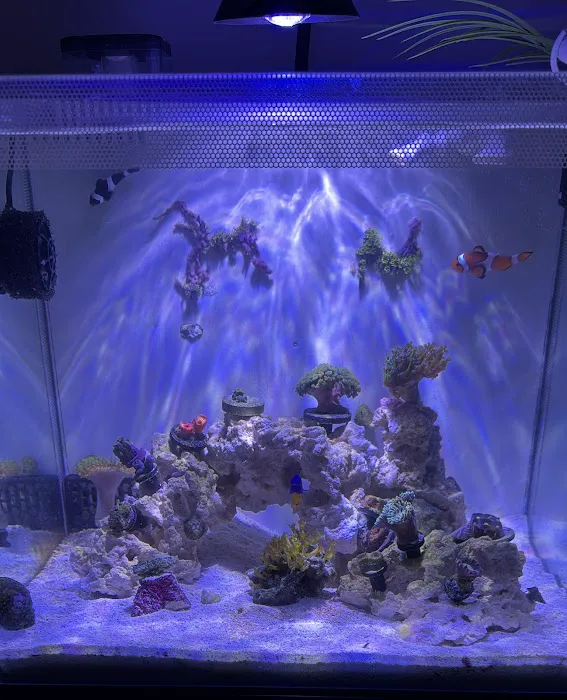 Aqua SD Picture 7
