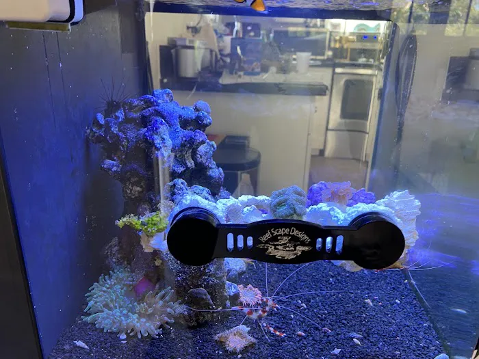 Aqua SD Picture 10