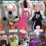 All 4 Pets