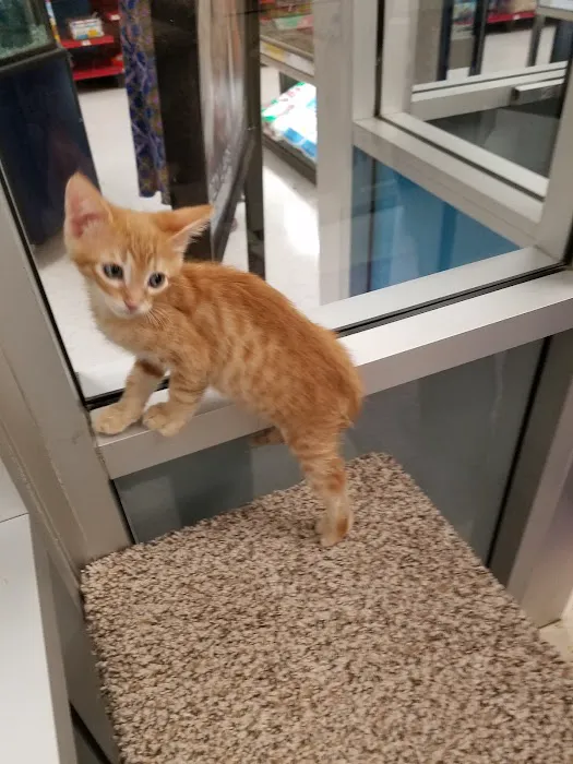 Petco Picture 2