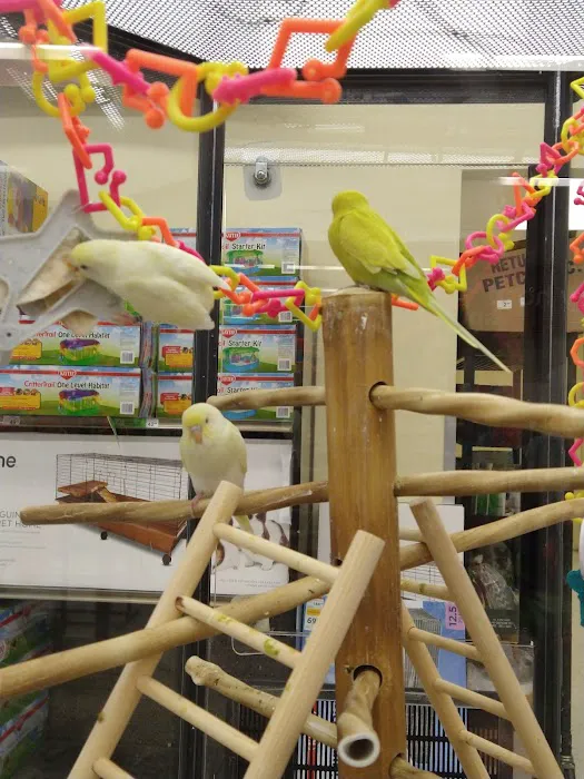 Petco Picture 6