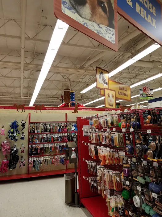 Petco Picture 4