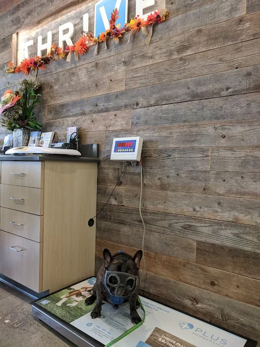 Petco Picture 10